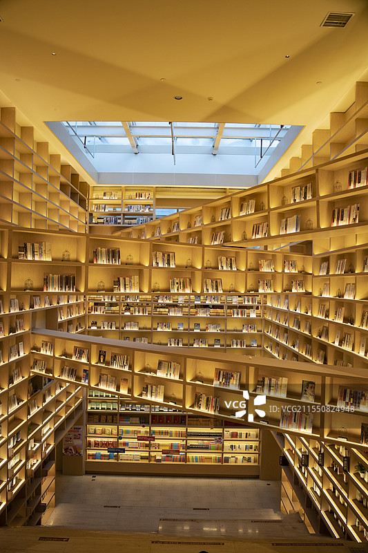 安静的图书馆书店阅览室室内图片素材