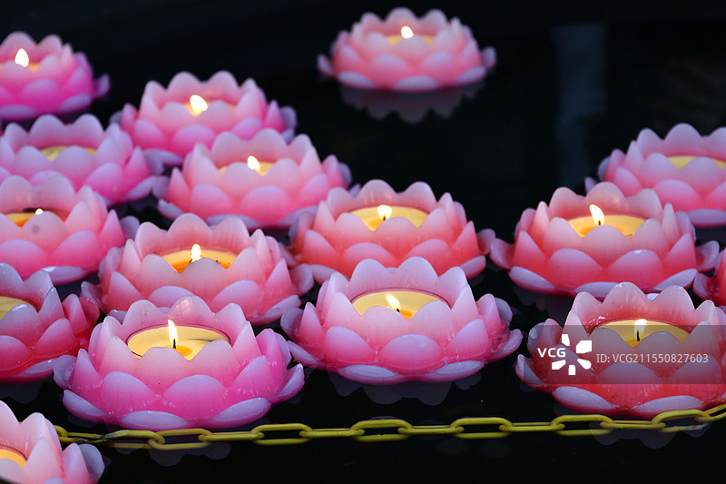 孔子庙荷花灯图片素材