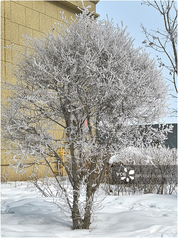 雾凇107图片素材