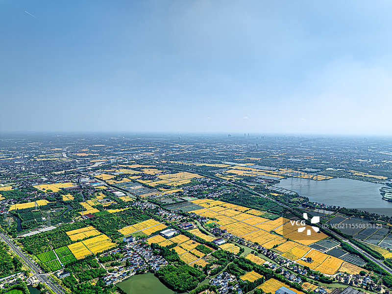 徐家漾 苏震桃公路 三里塘 江苏震泽湿地公园 航拍太湖平原田园风光 乡村振兴广阔美景 人与自然图片素材