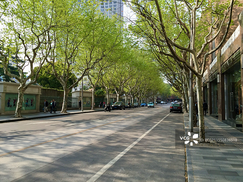 初春的街道图片素材