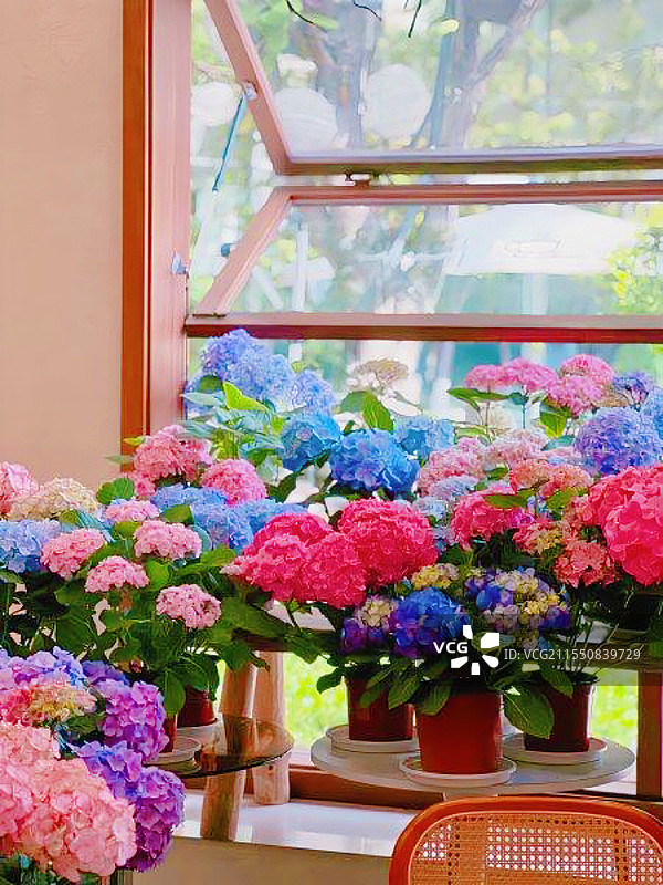 鲜花的世界图片素材