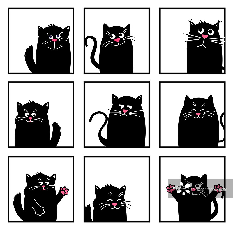 快乐可爱的猫咪，心情愉快，萌萌的黑猫图片素材