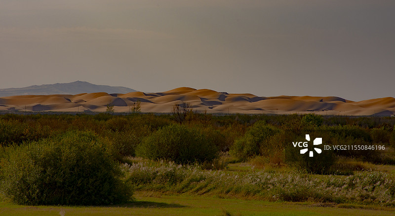 沙漠图片素材