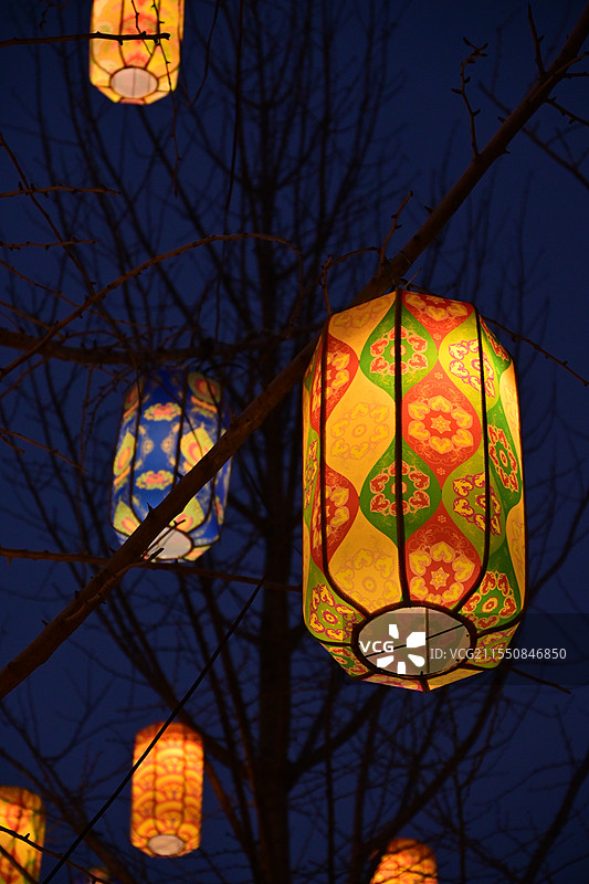 树上的灯笼图片素材