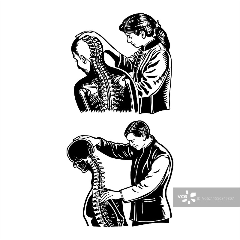 人类脊柱细节图片素材