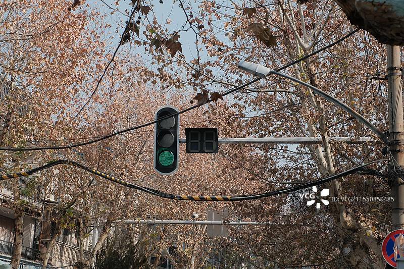 树木与绿灯街景，武汉图片素材