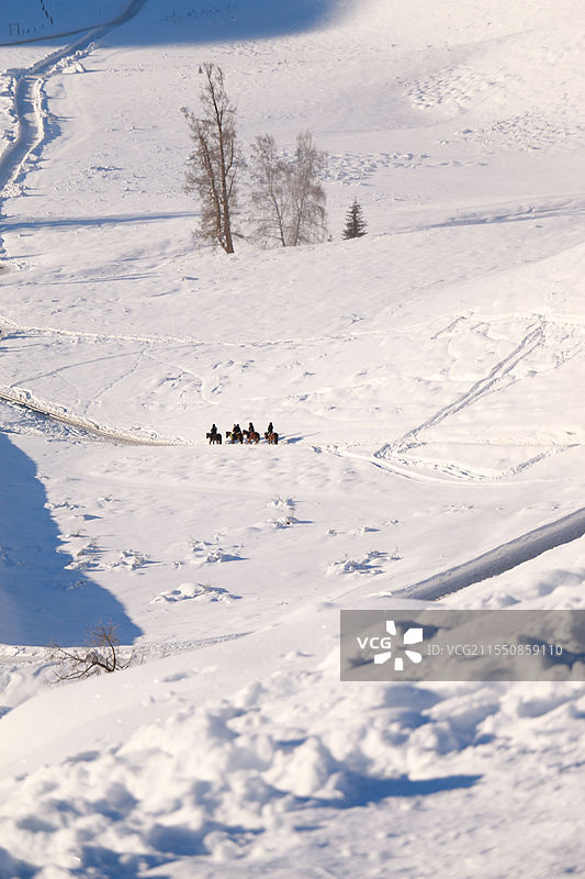 白茫茫的雪地里的骑马人图片素材