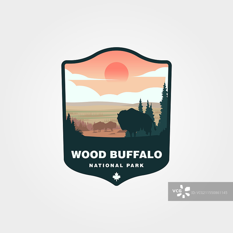 木牛国家公园的野牛与日落景观图片素材