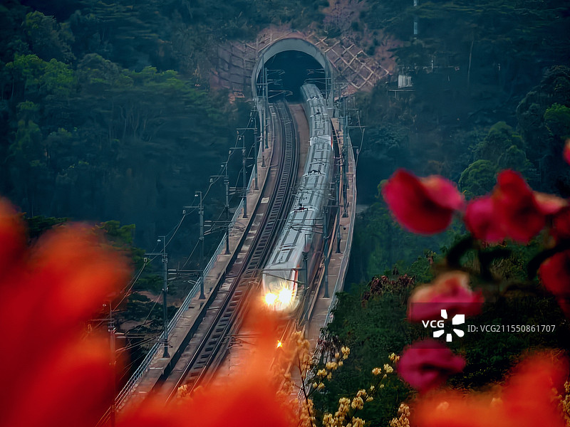 清晨开往春天的高铁图片素材