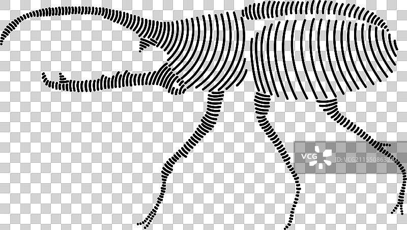 简单的线条艺术描绘了一只大力士甲虫图片素材