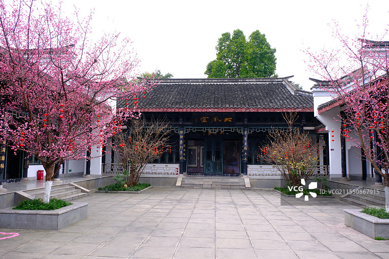 早春时节红梅花盛开中的张大千纪念园景观图片素材