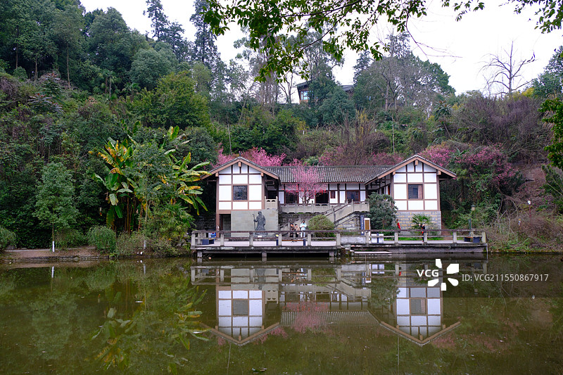 早春时节红梅花盛开中的张大千纪念园景观图片素材