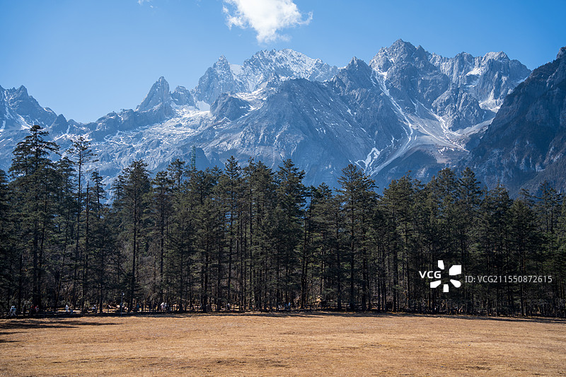 玉龙雪山云杉坪 高山 草地 森林图片素材