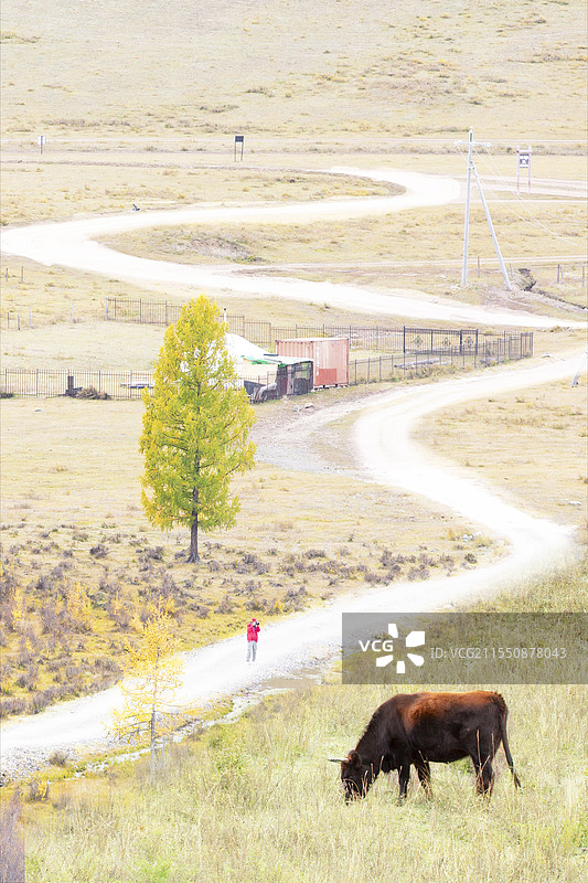 蒙古国乌兰巴托“特日勒吉”国家公园图片素材