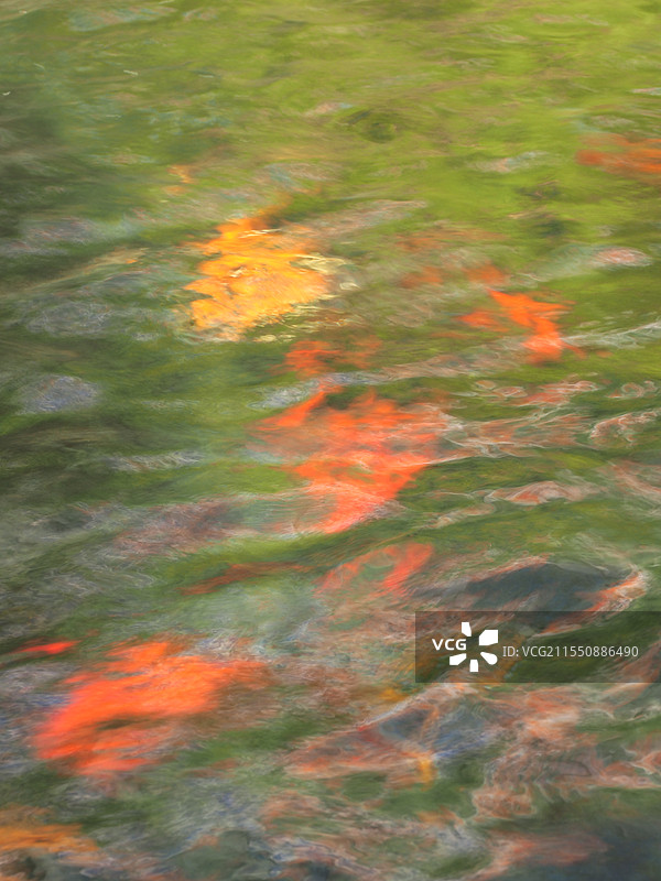 大自然的调色板图片素材