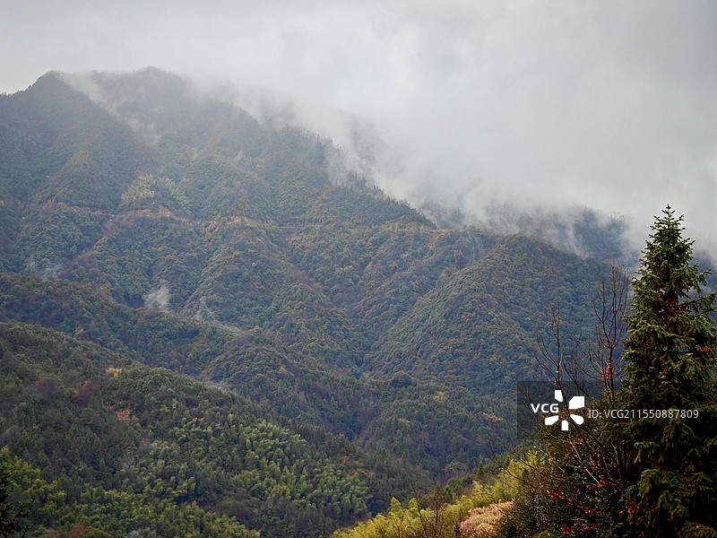 雨后的婺源篁岭云海图片素材