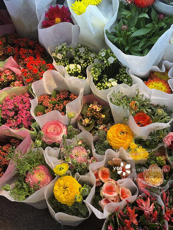 在花卉市场图片素材