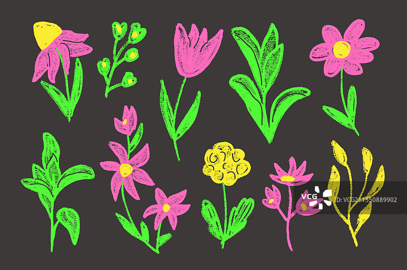 春季霓虹粉笔画的花朵和叶子套装图片素材