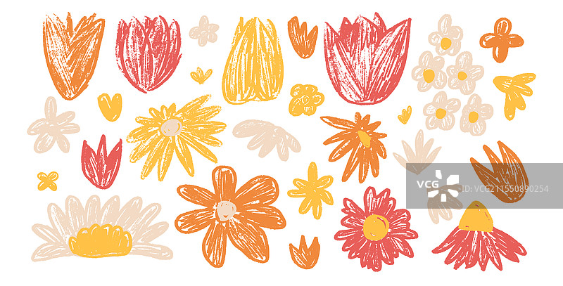 春天的花蕾，包括郁金香、雏菊和洋甘菊。图片素材