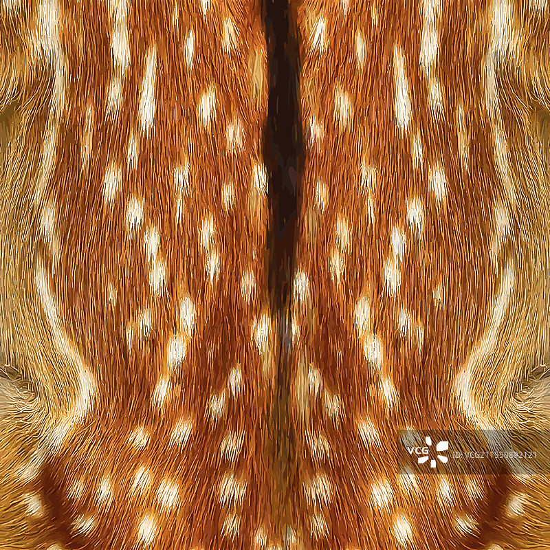 鹿毛质地特写，带有白色斑点图片素材