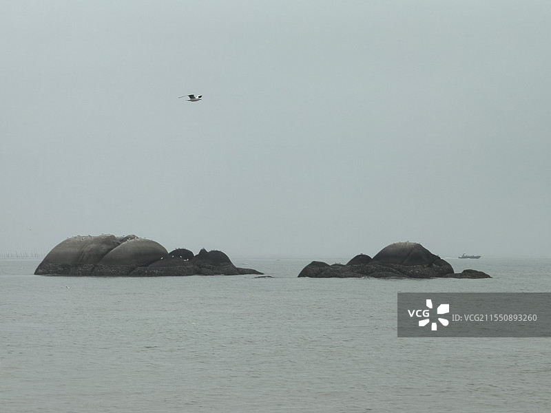 钦州三娘湾渔鸥相伴图片素材