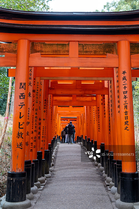 千本鸟居图片素材