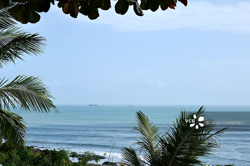 万宁椰林 海边风景图片素材
