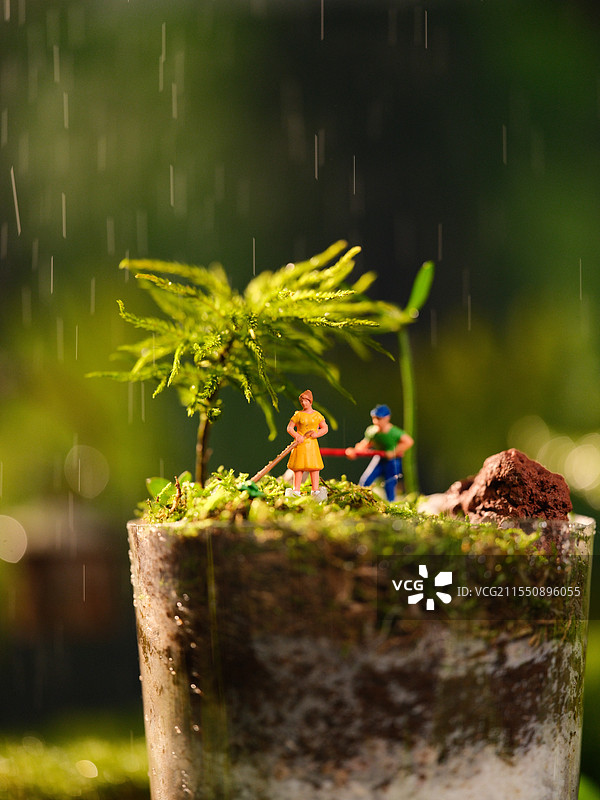 微距镜头下的景观图片素材