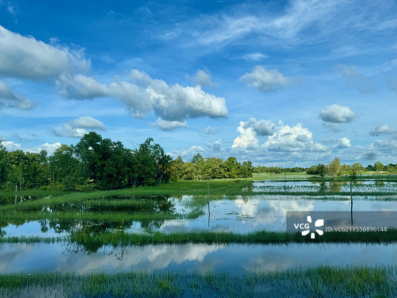 倒影天空的水田图片素材