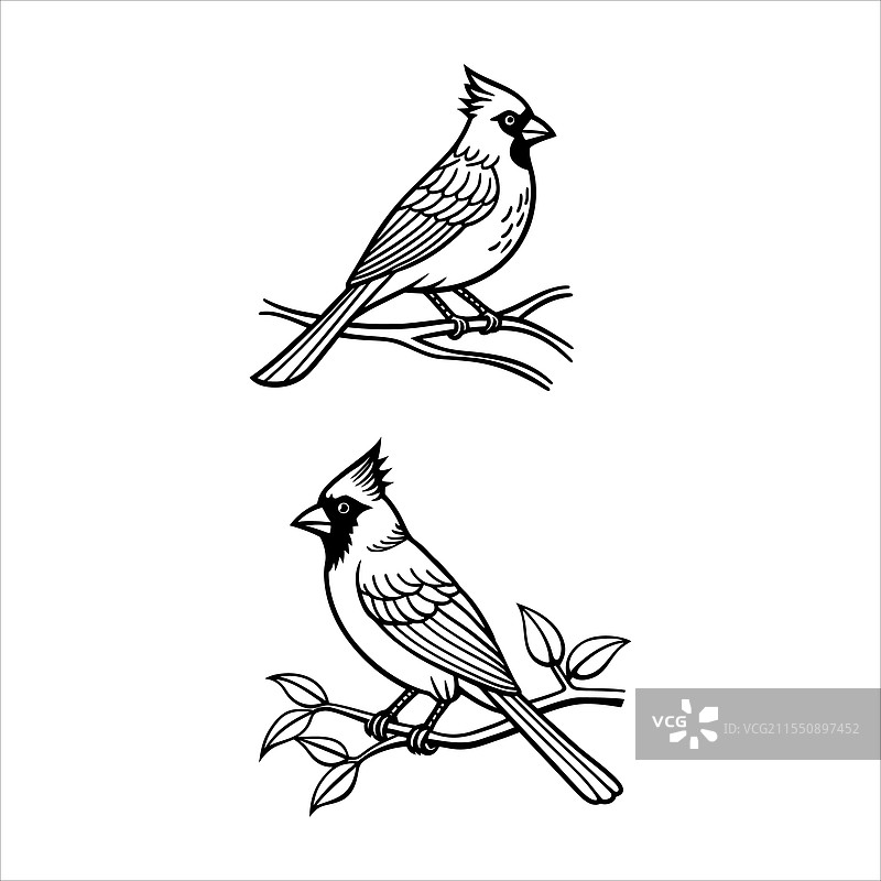 红雀线条画图片素材