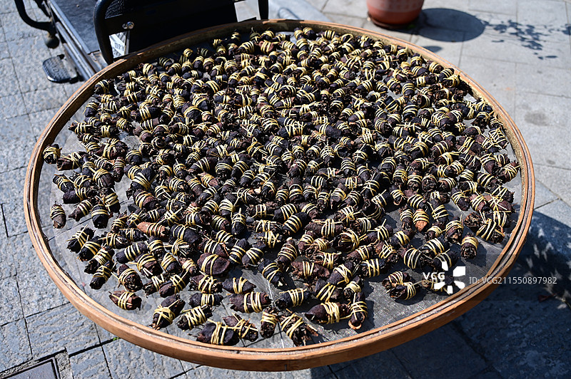 新会陈皮图片素材