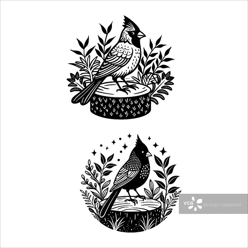 树上的红雀图片素材