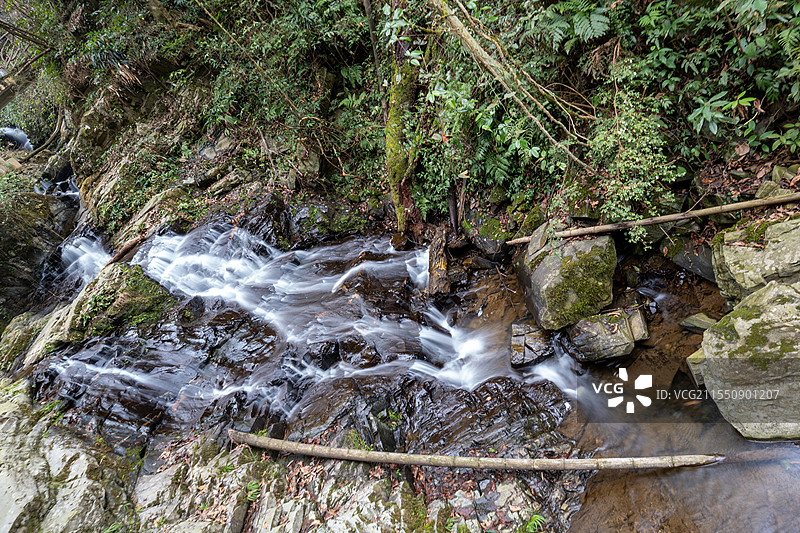 绿意盎然的幽谷瀑布图片素材