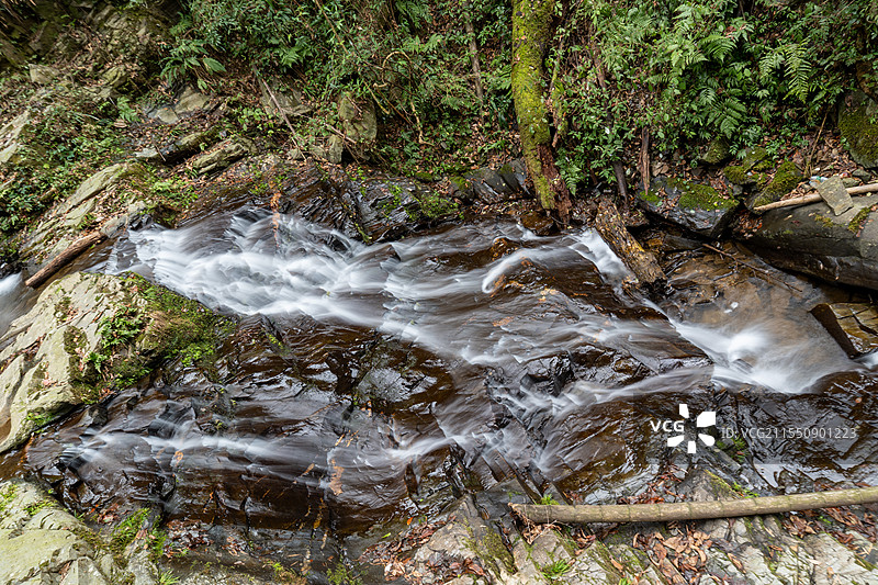 绿意盎然的幽谷瀑布图片素材