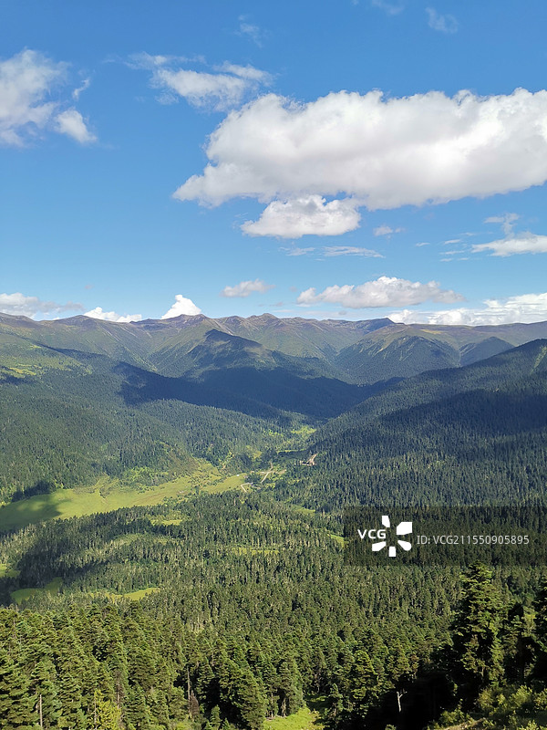 鲁朗林海图片素材
