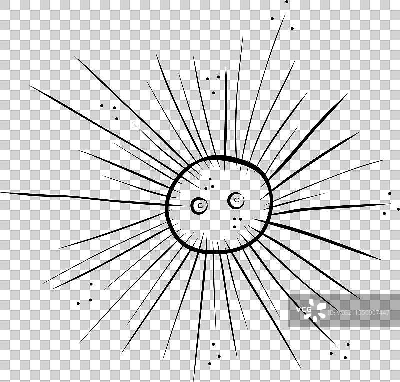 海胆简单图片素材