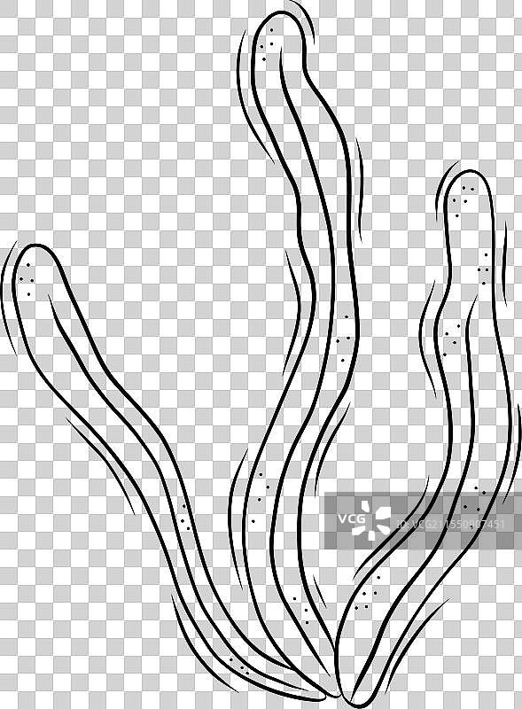 涂鸦风格的海藻图片素材