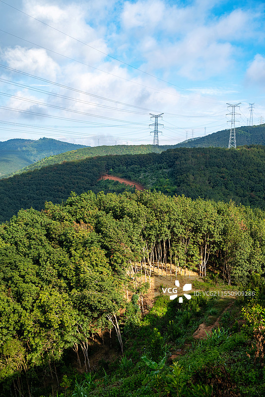 云南西双版纳基诺山脉茂盛的热带雨林图片素材