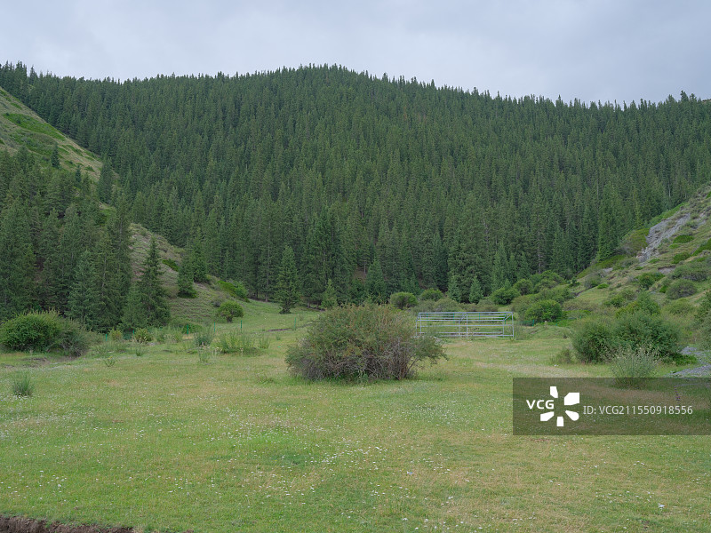 新疆 大小海子 精河 秘境 湖边的汽车图片素材