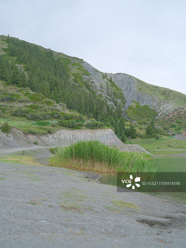 新疆 大小海子 精河 秘境 湖边的汽车图片素材