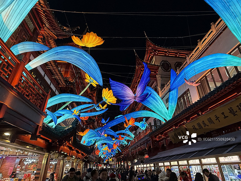 2025年元宵节上海豫园灯会图片素材