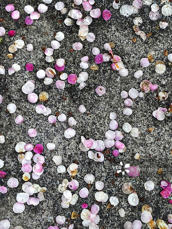 零落成泥图片素材