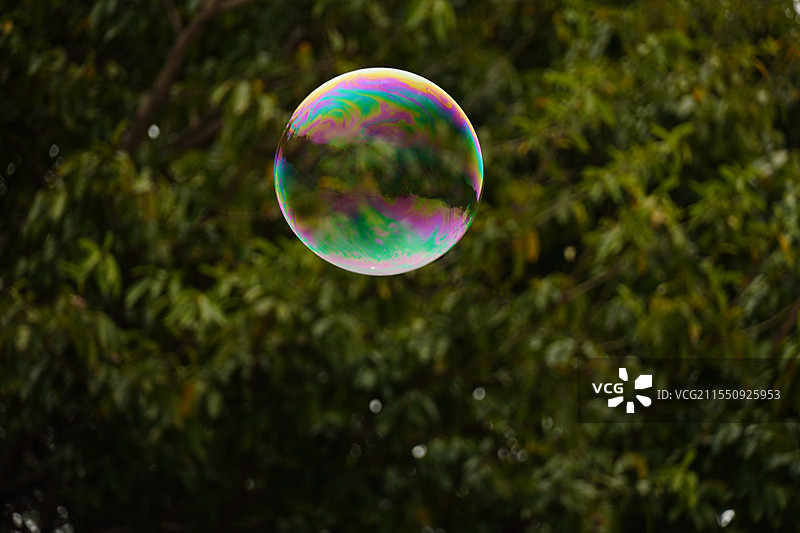 春天的泡沫图片素材