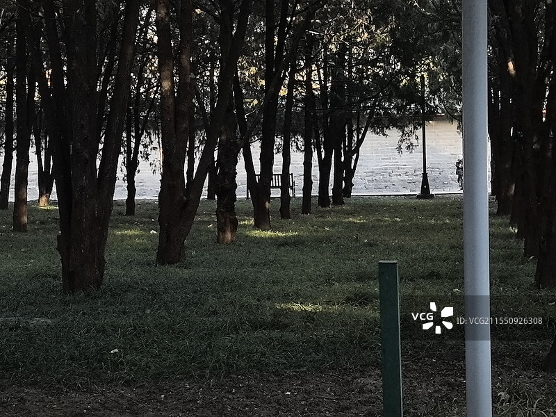 地坛的海图片素材