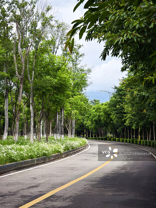 绿茵道路图片素材