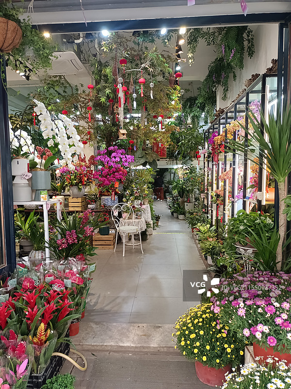 厦门花鸟市场花店图片素材