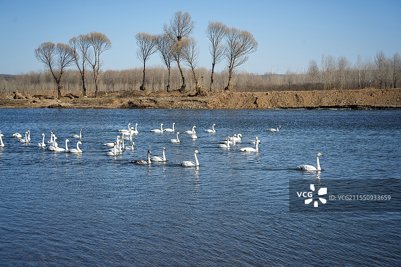 辽宁朝阳红村天鹅湾图片素材