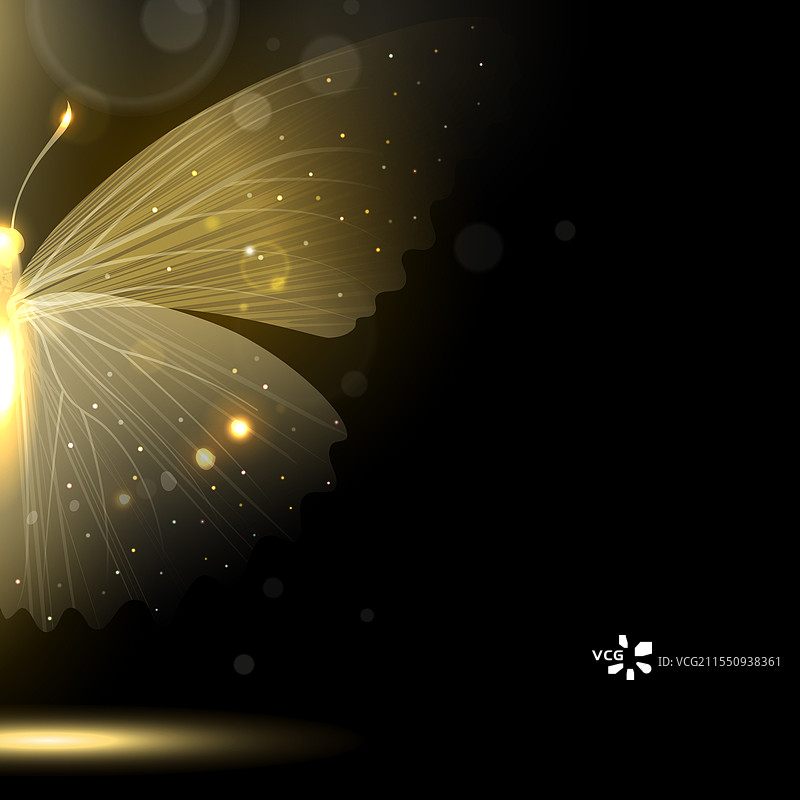 神奇的金色发光蝴蝶图片素材