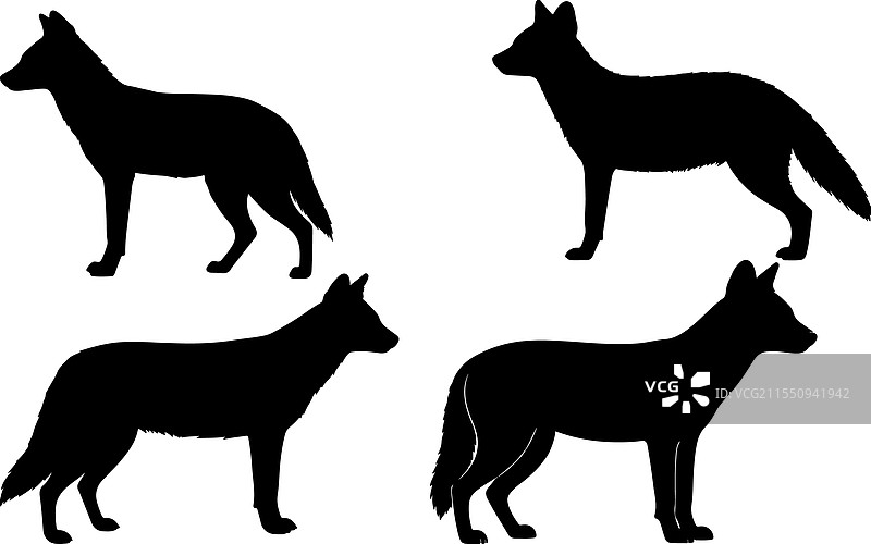 豺狼的实心轮廓图片素材